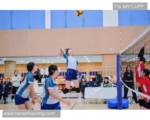 聚焦排球:西安排球队的技术话题